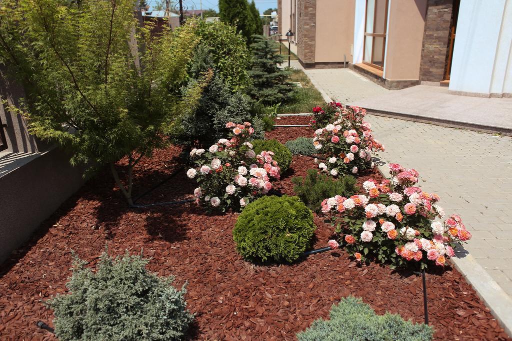 Hotel Bohemia Bacău Eksteriør billede